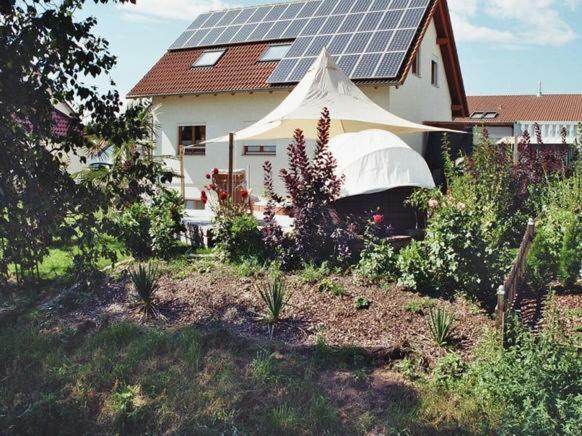 Riedblick Appartement Bad Buchau Buitenkant foto